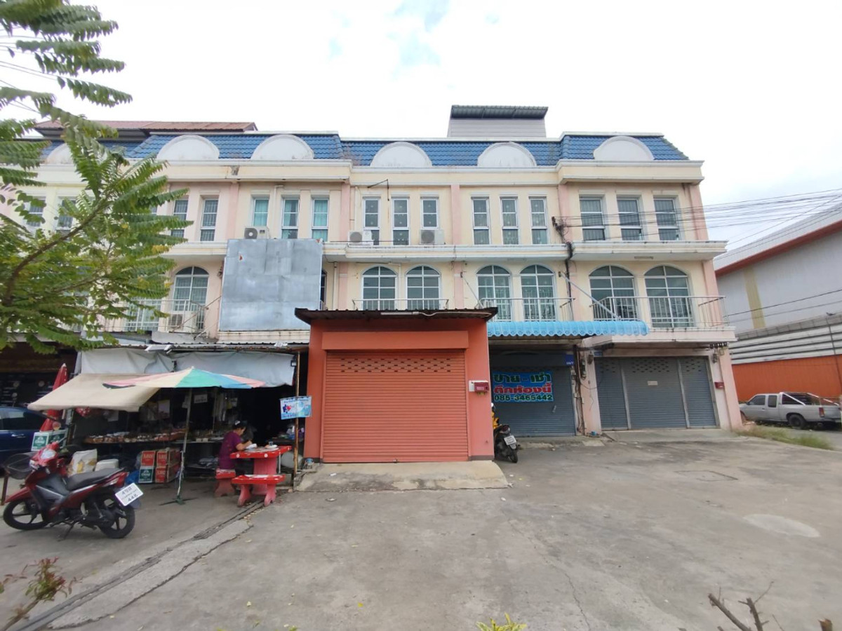 ขายอาคารพาณิชย์ ติดถนนบ้านกล้วย - ไทรน้อย 22 ตรว. ขายอาคารพาณิชย์ ติดถนนบ้านกล้วย - ไทรน้อย 22 ตรว.