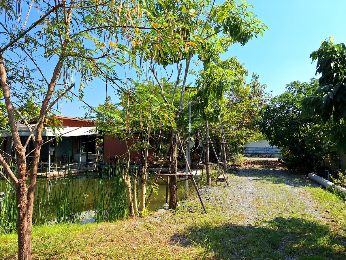ขายที่ดิน 200 ตร.วา ต.ชัยมงคล เงียบสงบ เดินทางสะดวด – รูปที่ 2