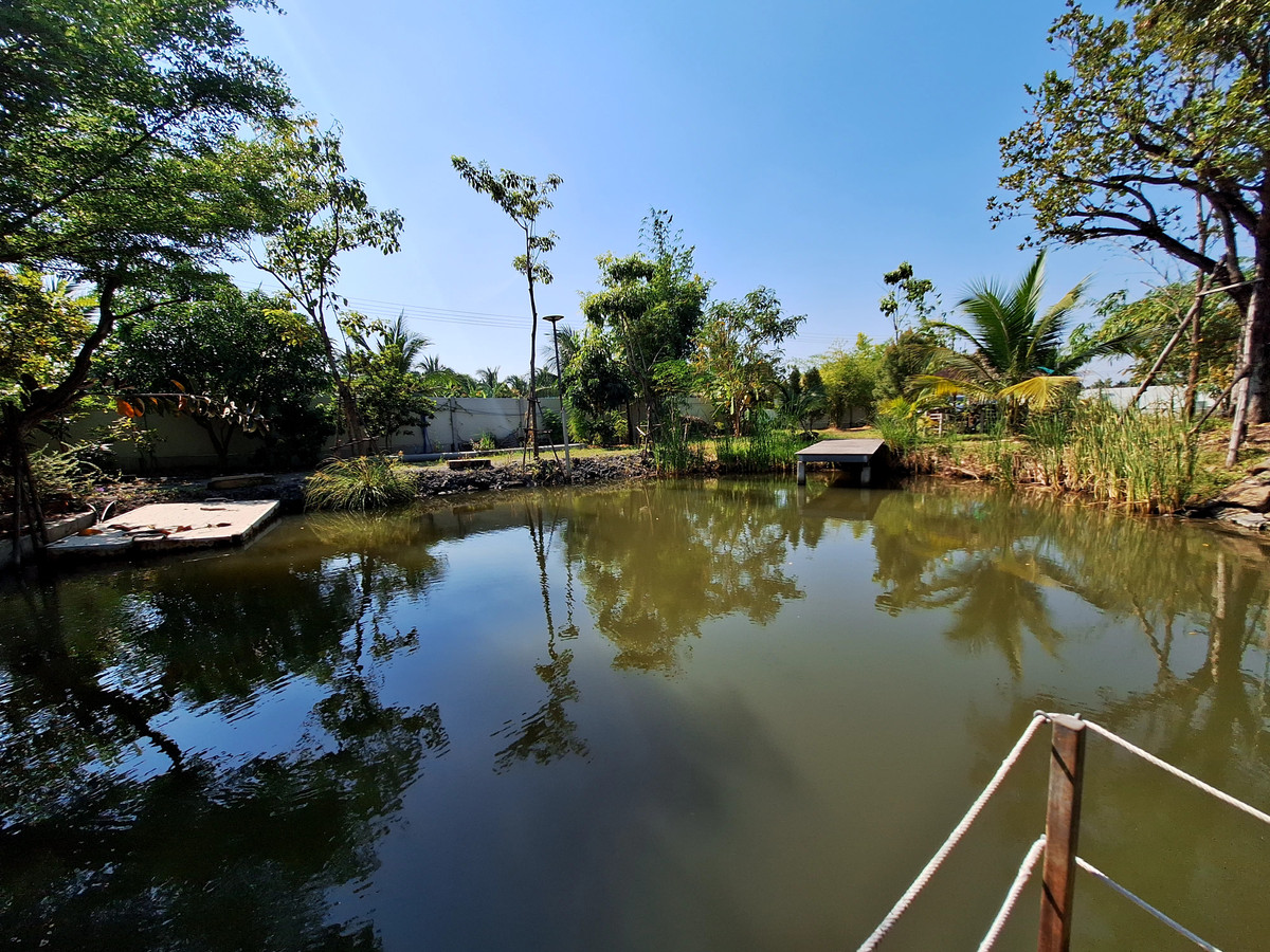 ขายบ้านสวน ต.ชัยมงคล ร่มรืน เงียบสงบ ขนาด 323 ตร.วา  – รูปที่ 3