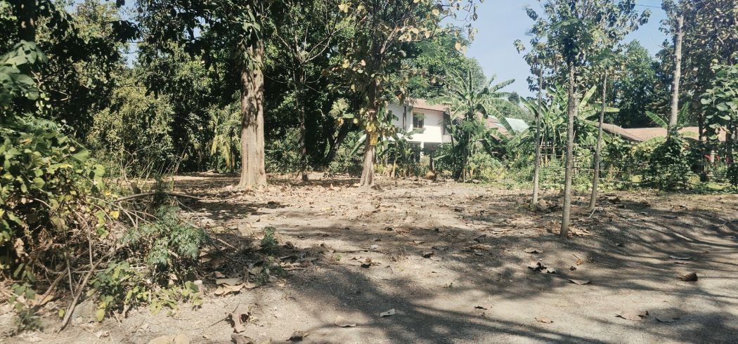 Land for sale, hot location, vacation home, 261 sq m, next to Khlong Muak Lek, near Daily Home, Pak Chong. – รูปที่ 3
