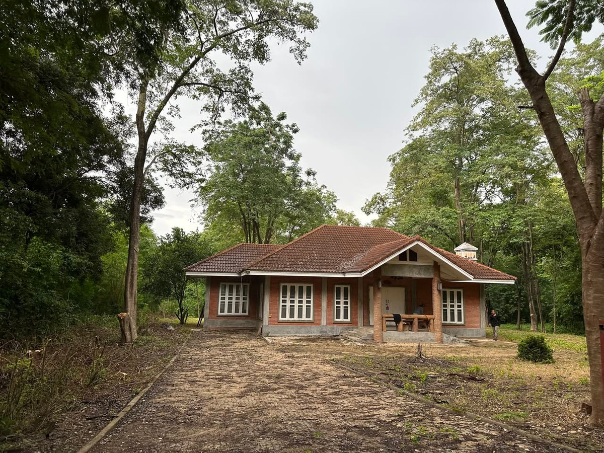 Single-storey detached house for sale in Lamphun Province, next to Chiang Mai, peaceful atmosphere, near the Ping River. Single-storey detached house for sale in Lamphun Province, next to Chiang Mai, peaceful atmosphere, near the Ping River.
