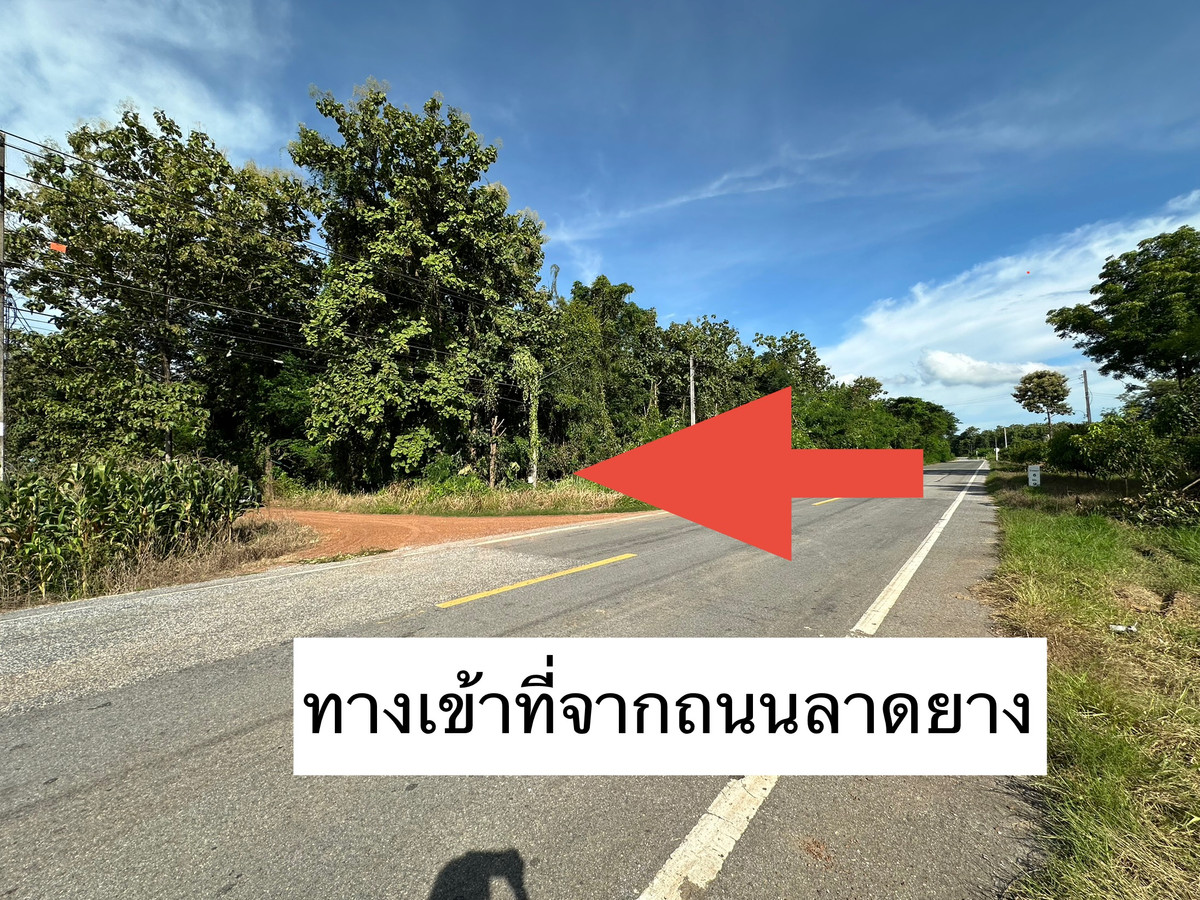 ขายที่ดิน 3แปลง ติดคลองกล้วย 38,18,20ไร่ ต.คอรุม อ.พิชัย จ.อุตรดิตถ์ ขายที่ดิน 3แปลง ติดคลองกล้วย 38,18,20ไร่ ต.คอรุม อ.พิชัย จ.อุตรดิตถ์