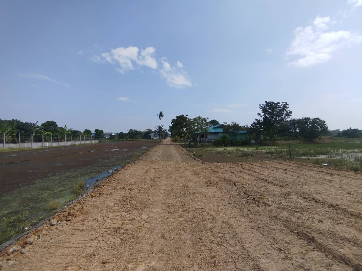 ขายที่ดินเปล่า 928 ตรว. ซอยวัดลาดปลาดุก ซอยเชื่อมต่อบัวทอง 4 นนทบุรี – รูปที่ 2