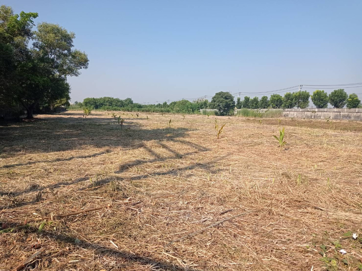 Land for sale, 7 rai, Rangsit-Nakhon Nayok, Khlong 15, Prachathipat Subdistrict, Thanyaburi District, Pathum Thani Province (Thanyaburi) – รูปที่ 2