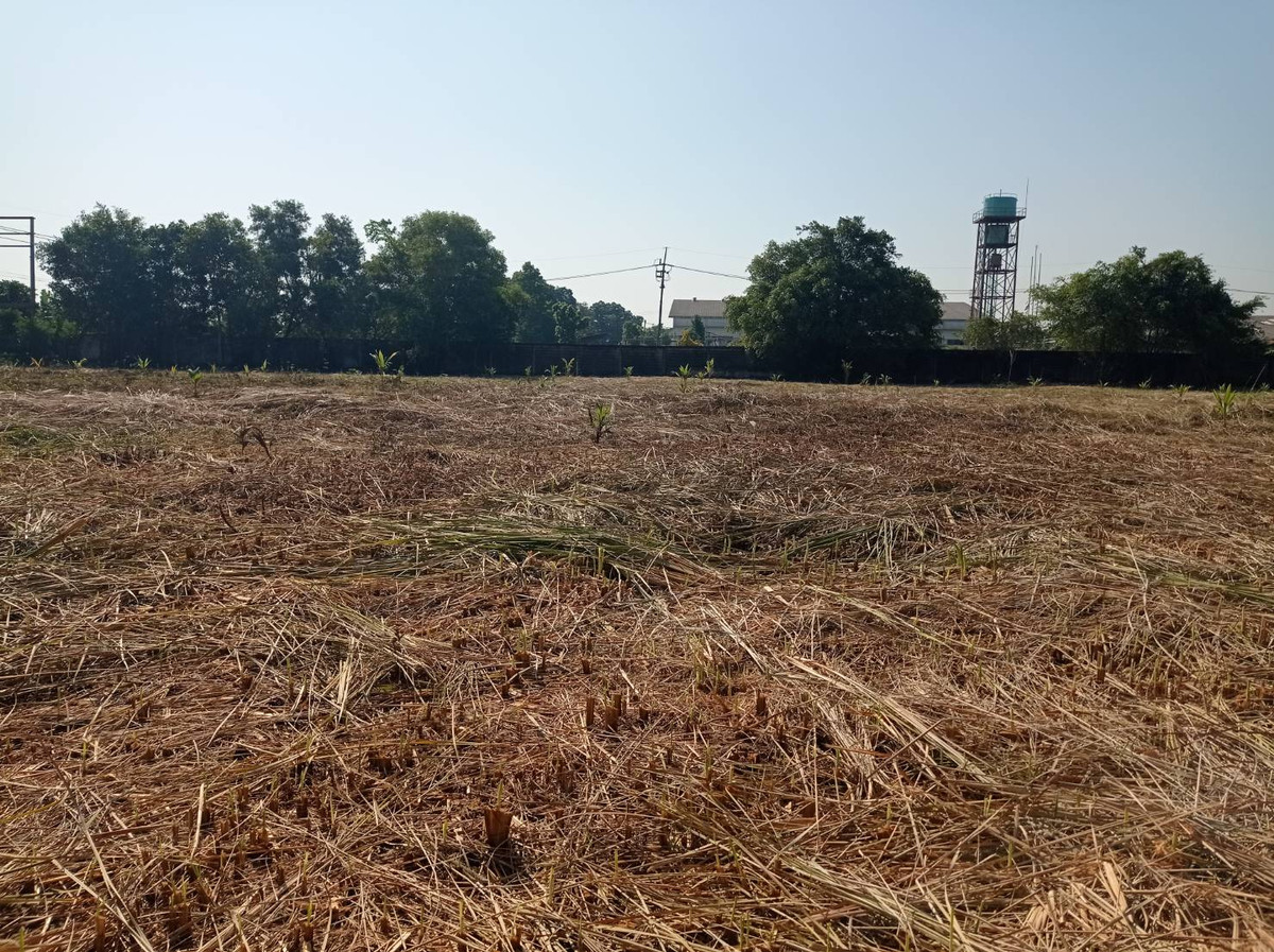 Land for sale, 7 rai, Rangsit-Nakhon Nayok, Khlong 15, Prachathipat Subdistrict, Thanyaburi District, Pathum Thani Province (Thanyaburi) – รูปที่ 4
