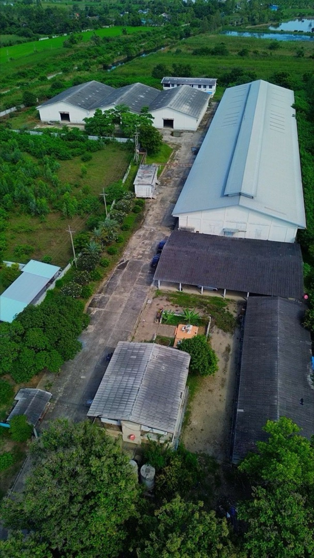 For sale/rent: Factory 7,200 sq m. with 500 KVA transformer on 17 rai of land, Song Phi Nong, Suphan Buri, ready for use. For sale/rent: Factory 7,200 sq m. with 500 KVA transformer on 17 rai of land, Song Phi Nong, Suphan Buri, ready for use.