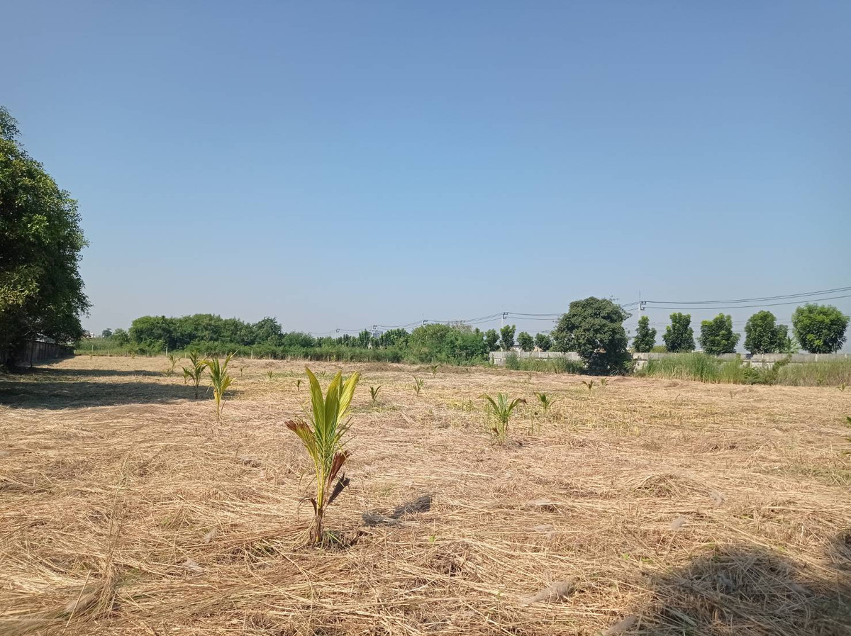 Land for sale, 7 rai, Rangsit-Nakhon Nayok, Khlong 15, Prachathipat Subdistrict, Thanyaburi District, Pathum Thani Province (Thanyaburi) Land for sale, 7 rai, Rangsit-Nakhon Nayok, Khlong 15, Prachathipat Subdistrict, Thanyaburi District, Pathum Thani Province (Thanyaburi)