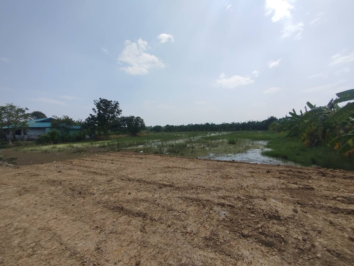 ขายที่ดินเปล่า 928 ตรว. ซอยวัดลาดปลาดุก ซอยเชื่อมต่อบัวทอง 4 นนทบุรี – รูปที่ 3