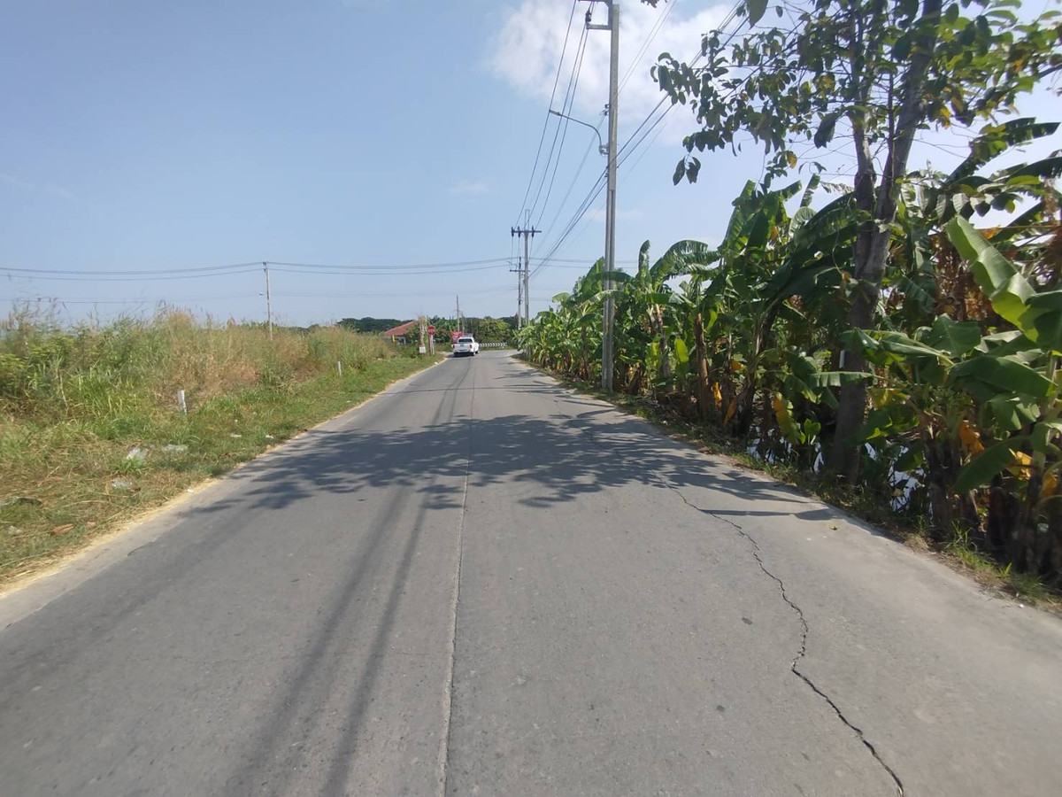 ขายที่ดินเปล่า 300 ตรว. ซอยหมู่บ้านบัวทอง4 เชื่อมต่อซอยวัดลาดปลาดุก – รูปที่ 4