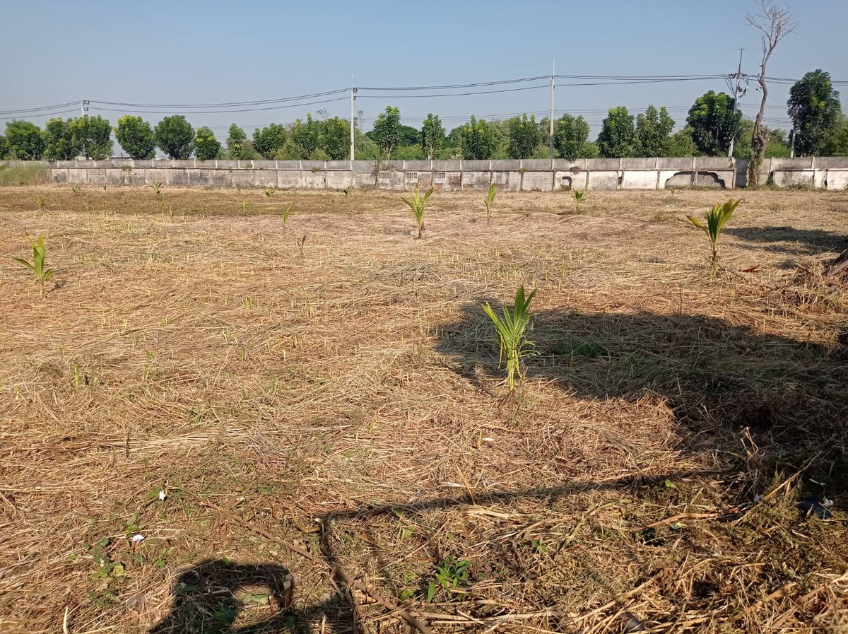 Land for sale, 7 rai, Rangsit-Nakhon Nayok, Khlong 15, Prachathipat Subdistrict, Thanyaburi District, Pathum Thani Province (Thanyaburi) – รูปที่ 3