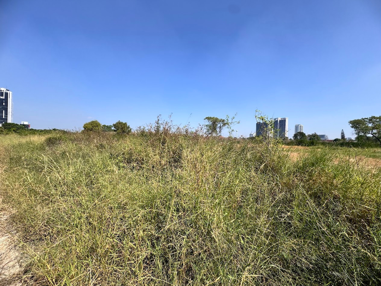 Land for sale, 200 square meters, near Wat Palad Priang. Buanakarin Road, Samut Prakan (N.1935) Land for sale, 200 square meters, near Wat Palad Priang. Buanakarin Road, Samut Prakan (N.1935)