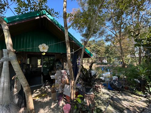 รายได้มั่นคง ไร่องุ่นและบ่อตกปลาใจกลางชุมชน ฟาร์ม ช.วีรศุ ( C.Veerasu Farm ) ขาย สวนเกษตรอินทรีย์ เหมาะทำ ฟาร์มสเตย์, ฟาร์มท่องเที่ยว หรือพัฒนาต่อยอดเชิงเกษตรครบวงจร ต. นาเริก พนัสนิคม ชลบุรี