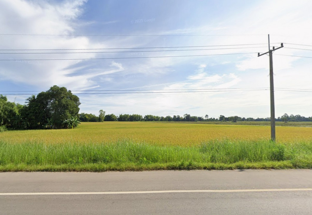 ขายที่ดิน 28 ไร่ 3 งาน 41.2 ตร.ว. ติดถนนใหญ่ ตรงข้ามอนามัย ใกล้ อบต.วังซ่าน – รูปที่ 2