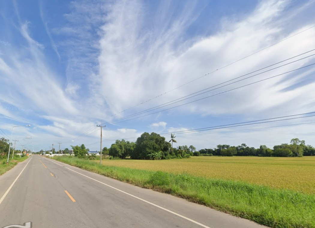 ขายที่ดิน 28 ไร่ 3 งาน 41.2 ตร.ว. ติดถนนใหญ่ ตรงข้ามอนามัย ใกล้ อบต.วังซ่าน – รูปที่ 3