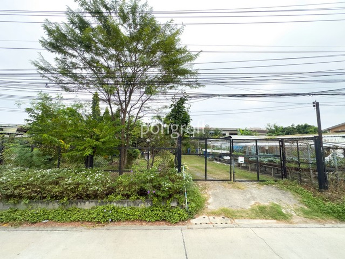 ที่ดิน 198 ตรว. ถมแล้วแปลงสวย รามอินทรา–สุขาภิบาล 5 เข้า–ออกได้หลายเส้นทาง ที่ดิน 198 ตรว. ถมแล้วแปลงสวย รามอินทรา–สุขาภิบาล 5 เข้า–ออกได้หลายเส้นทาง