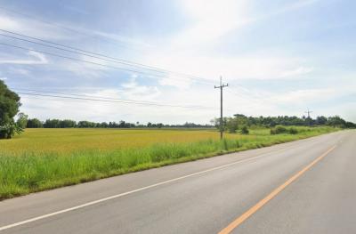 ขายที่ดิน 28 ไร่ 3 งาน 41.2 ตร.ว. ติดถนนใหญ่ ตรงข้ามอนามัย ใกล้ อบต.วังซ่าน
