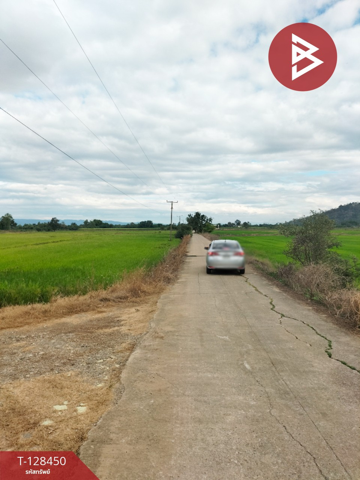 ขายที่ดิน เนื้อที่ 21 ไร่ 2 ตร.วา บึงสามพัน เพชรบูรณ์ – รูปที่ 2