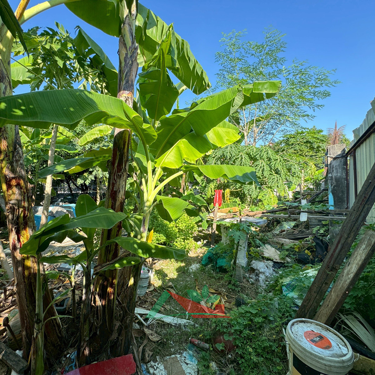 ขายที่ดินหนองแขม106ตรว. ซ.เพชรเกษม79 แยก19 ถมแล้ว ต่อรองได้ – รูปที่ 3