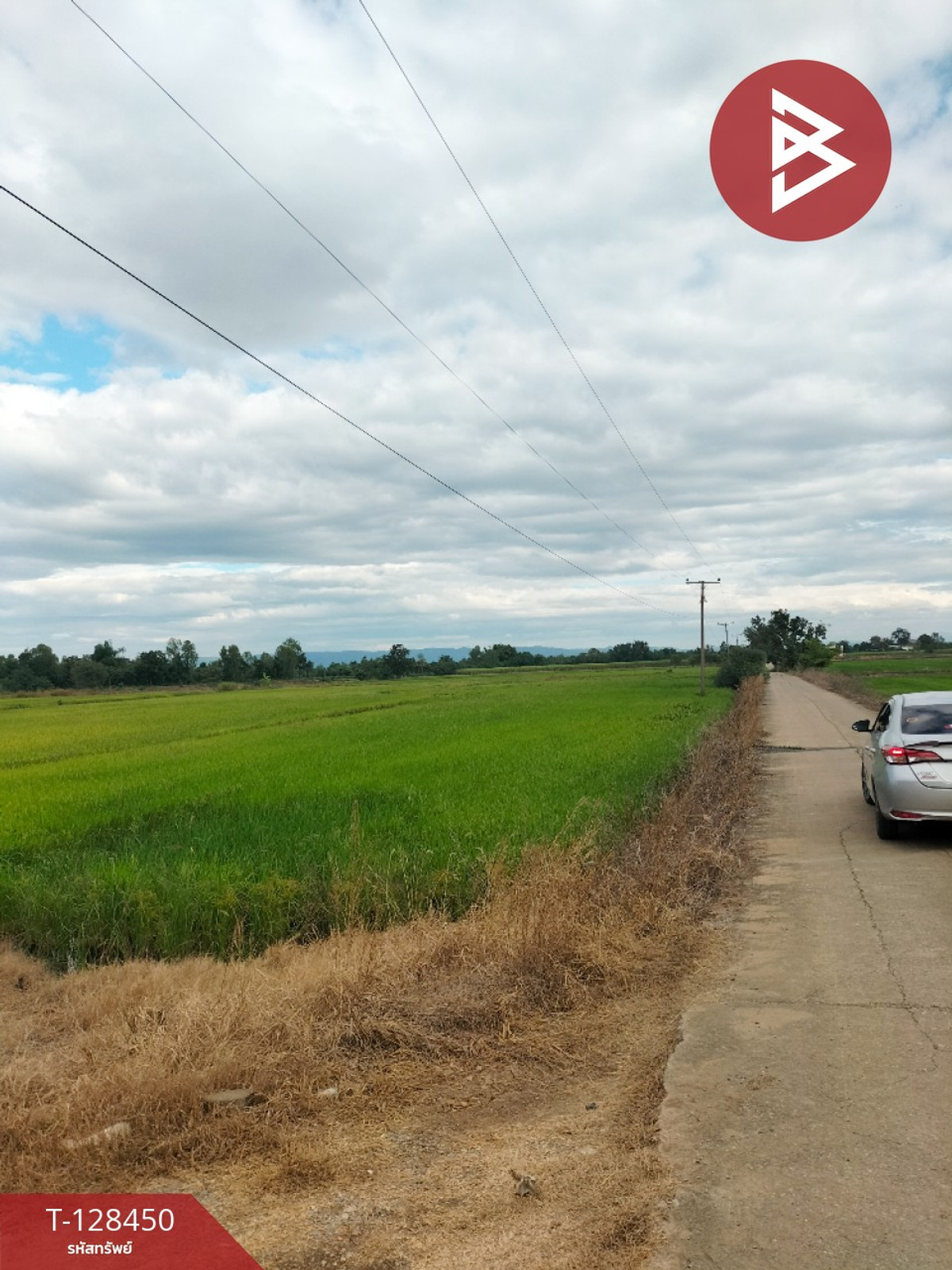 ขายที่ดิน เนื้อที่ 21 ไร่ 2 ตร.วา บึงสามพัน เพชรบูรณ์ – รูปที่ 3