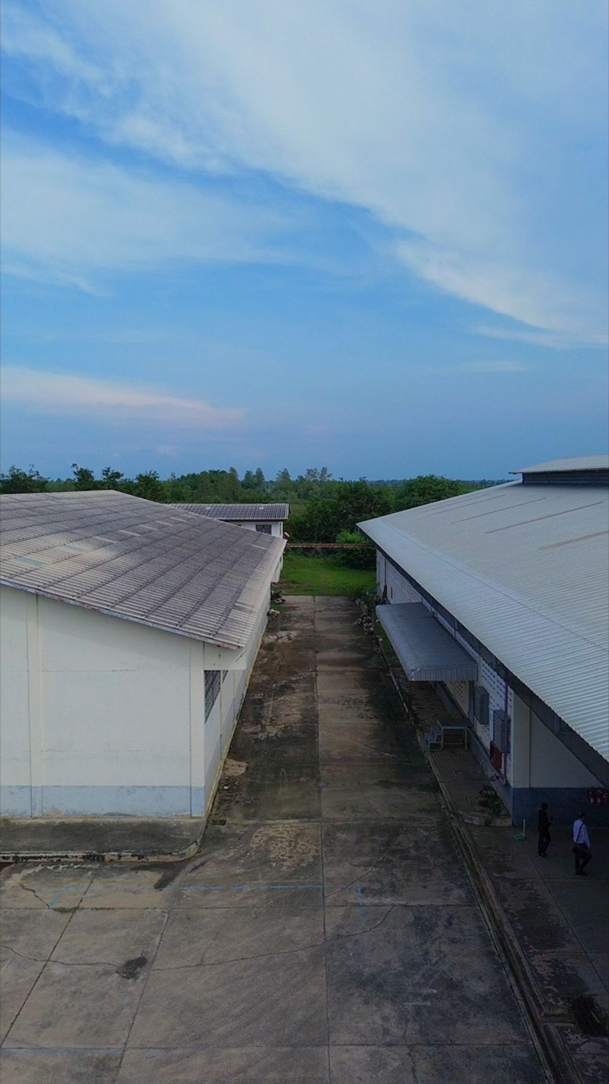 Factory ready to use Ready to continue doing business. Next to the main road, Thung Khok, Song Phi Nong, Suphan Buri. – รูปที่ 2