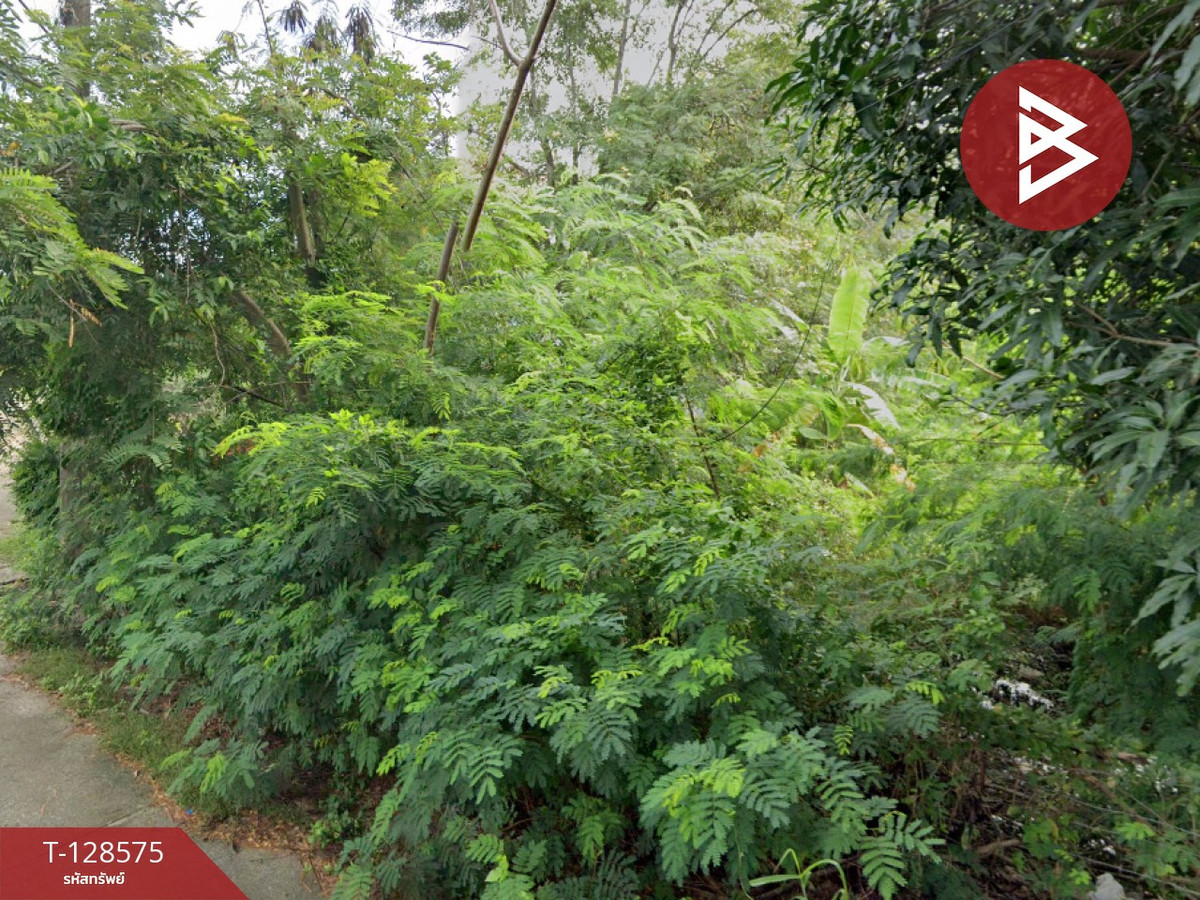 Land for sale, area 7 rai 1.6 square wah, Choeng Noen, Mueang Rayong, Rayong – รูปที่ 3