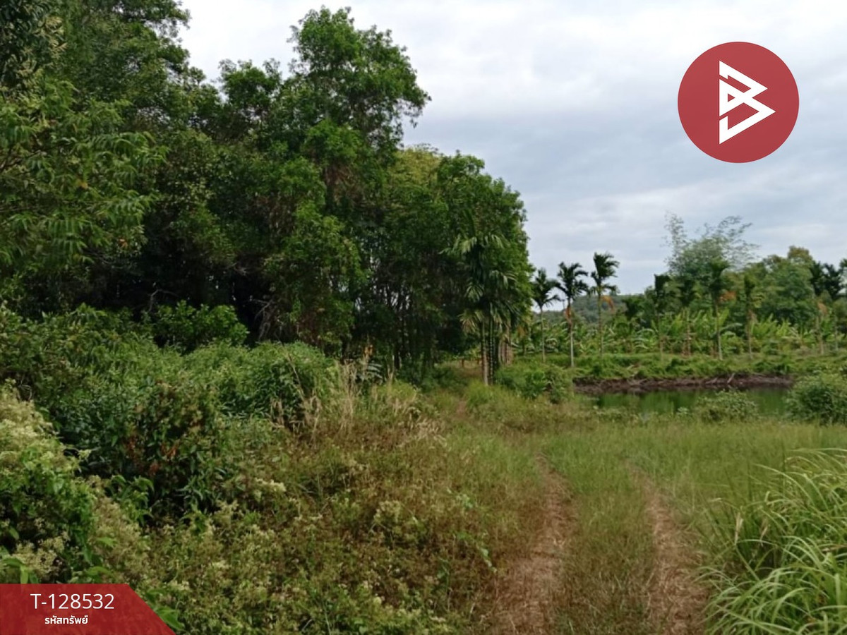 Rubber plantation land for sale, area 23 rai 1 ngan 10 square wah, Na Yai Am, Chanthaburi. – รูปที่ 2