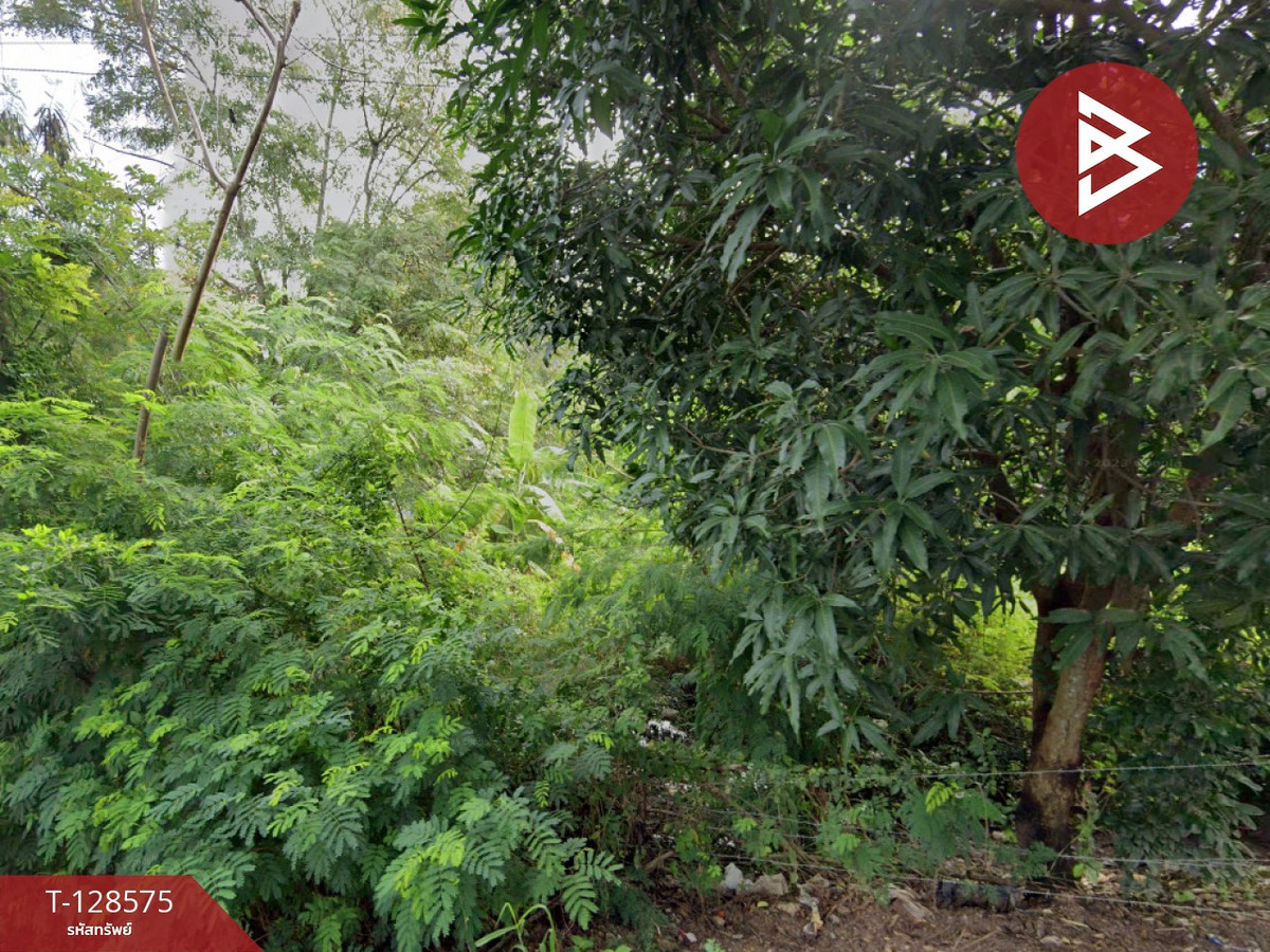 Land for sale, area 7 rai 1.6 square wah, Choeng Noen, Mueang Rayong, Rayong – รูปที่ 2