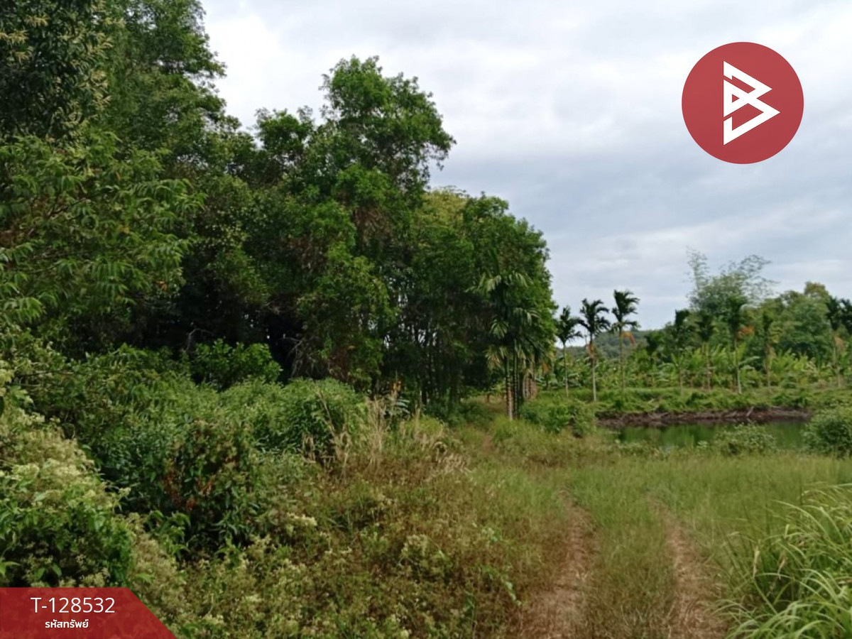 Rubber plantation land for sale, area 23 rai 1 ngan 10 square wah, Na Yai Am, Chanthaburi. – รูปที่ 3