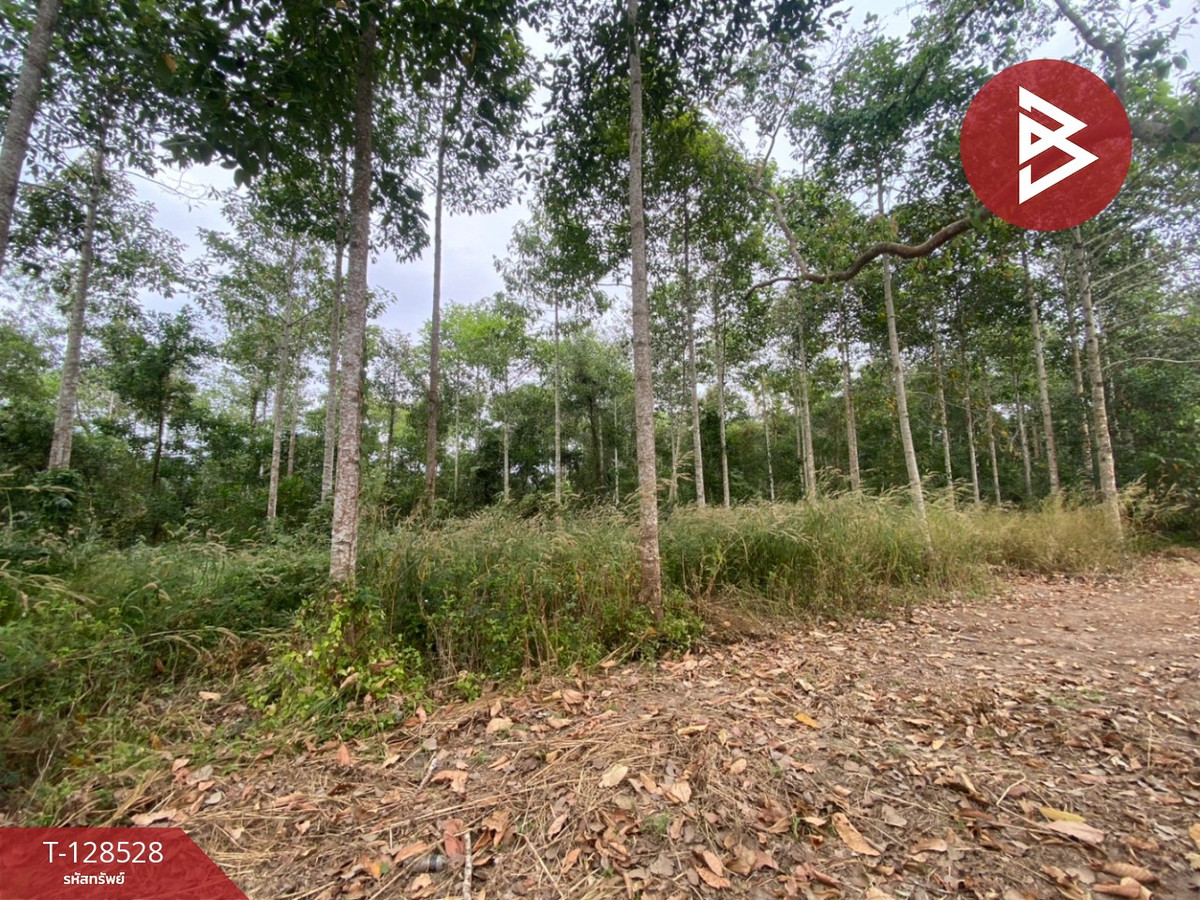 ขายที่ดินสวนยาง เนื้อที่ 11 ไร่ 3 งาน 54 ตร.วา แกลง ระยอง – รูปที่ 4