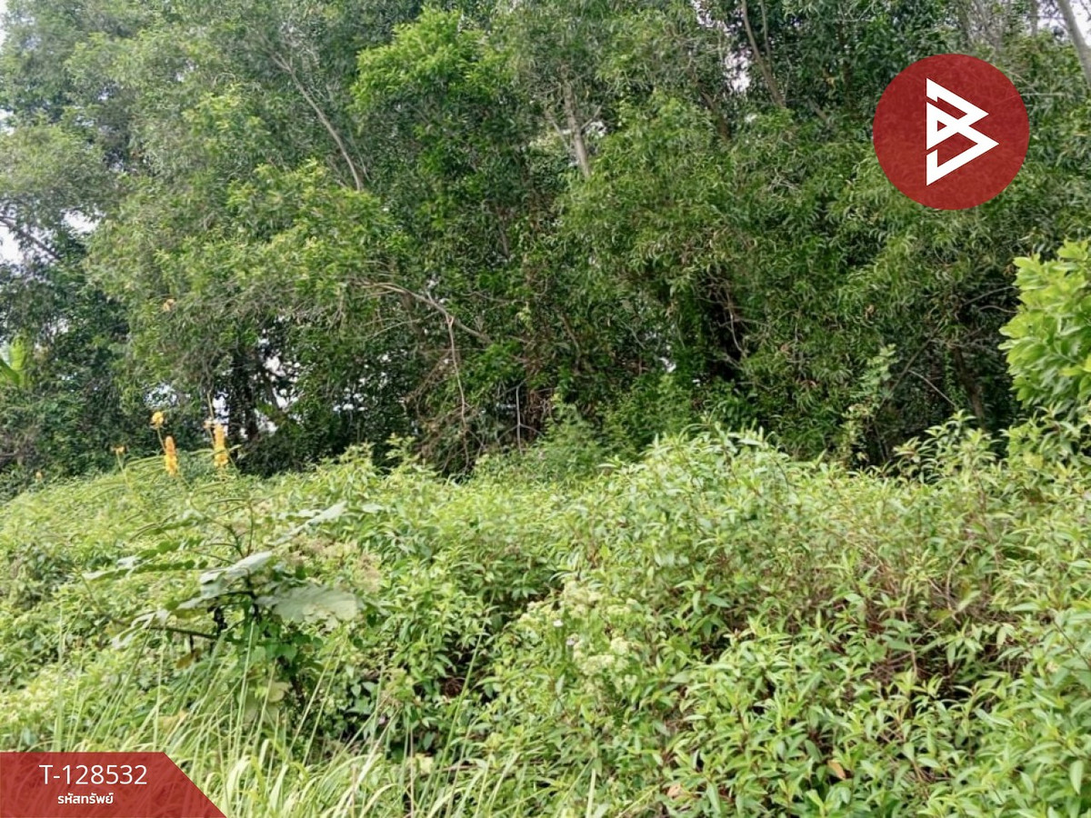 Rubber plantation land for sale, area 23 rai 1 ngan 10 square wah, Na Yai Am, Chanthaburi. – รูปที่ 4