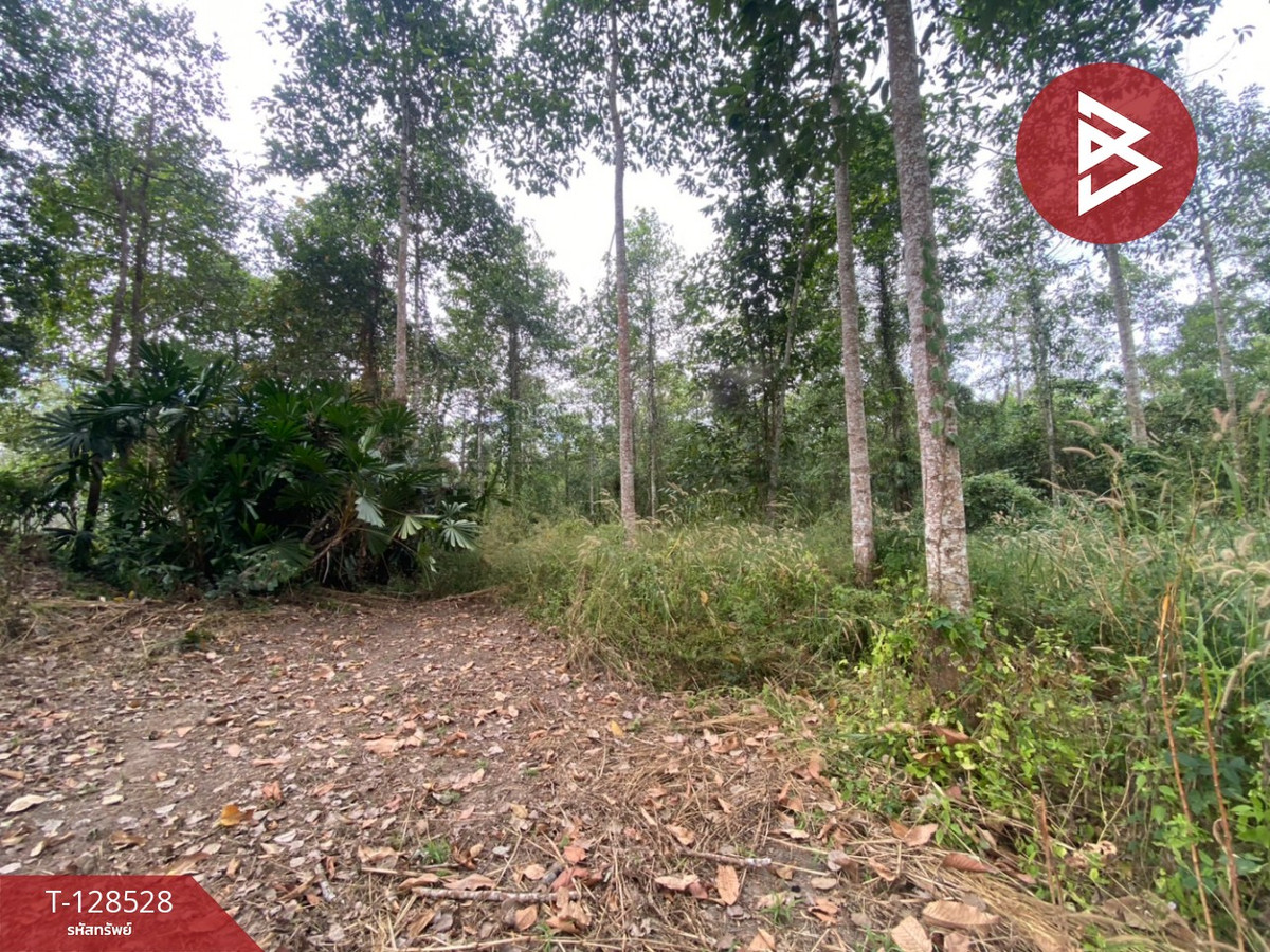 ขายที่ดินสวนยาง เนื้อที่ 11 ไร่ 3 งาน 54 ตร.วา แกลง ระยอง – รูปที่ 2