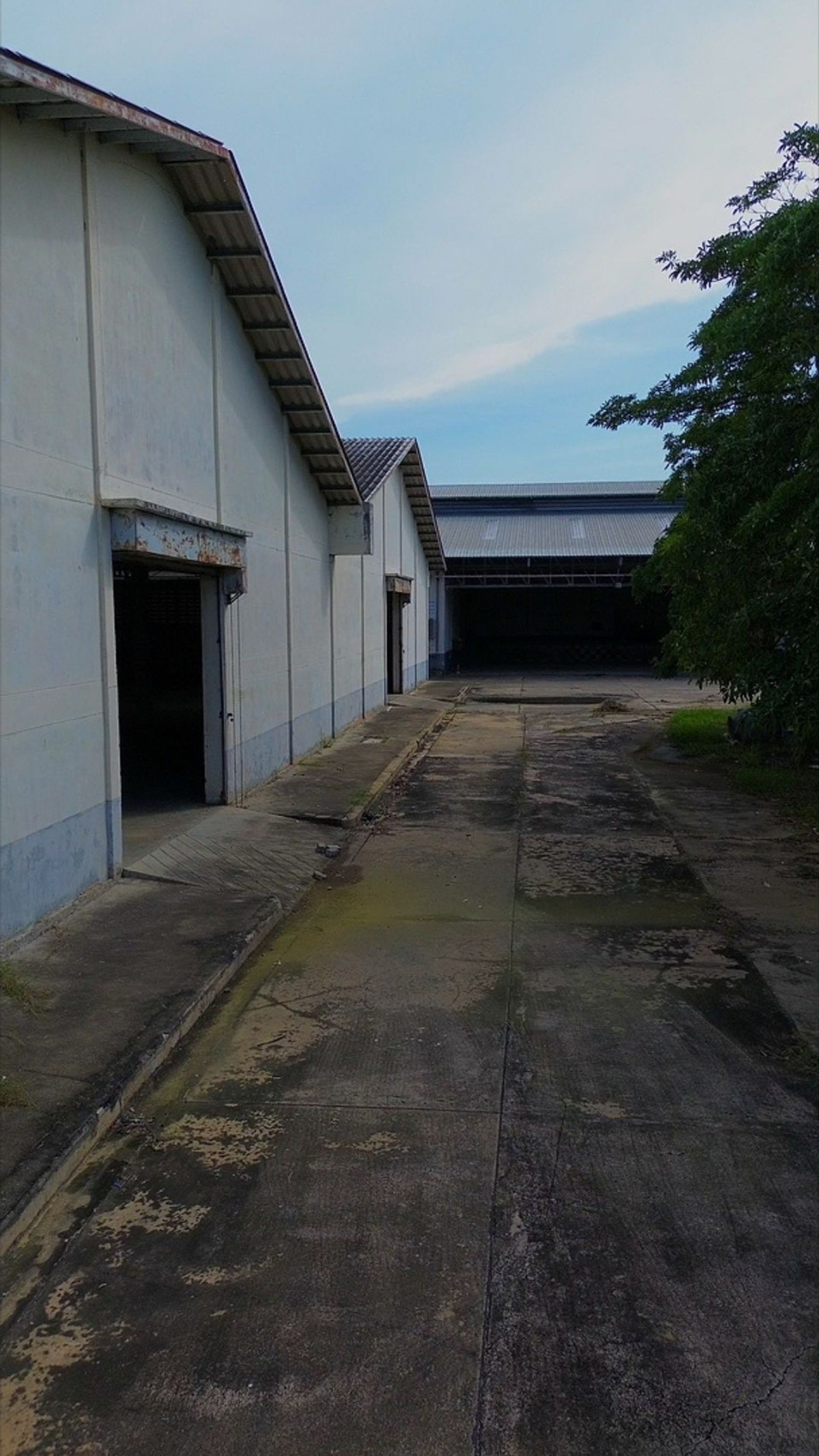 Factory ready to use Ready to continue doing business. Next to the main road, Thung Khok, Song Phi Nong, Suphan Buri. – รูปที่ 4
