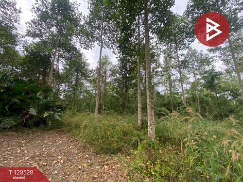 Land for sale, area 11 rai 3 ngan 54 sq m, Klaeng, Rayong.