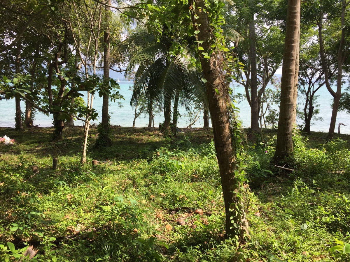 🔹 Announcement of beachfront land for sale, Koh Lon, Phuket Province, selling the whole plot,  selling it himself 🔹 – รูปที่ 3