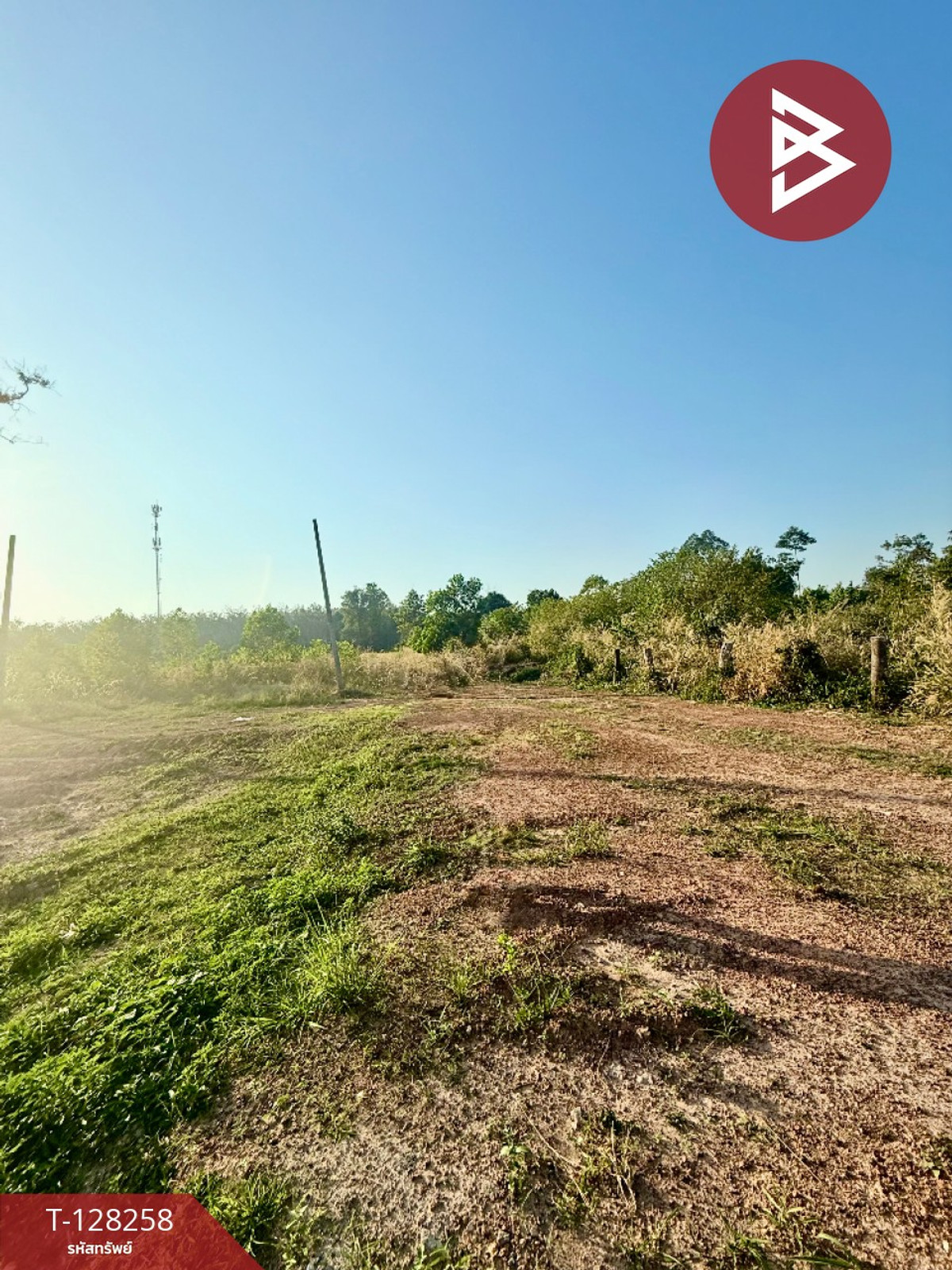 Land for sale, area 2 ngan, 90.3 square meters, Tha Chang, Chanthaburi. – รูปที่ 4