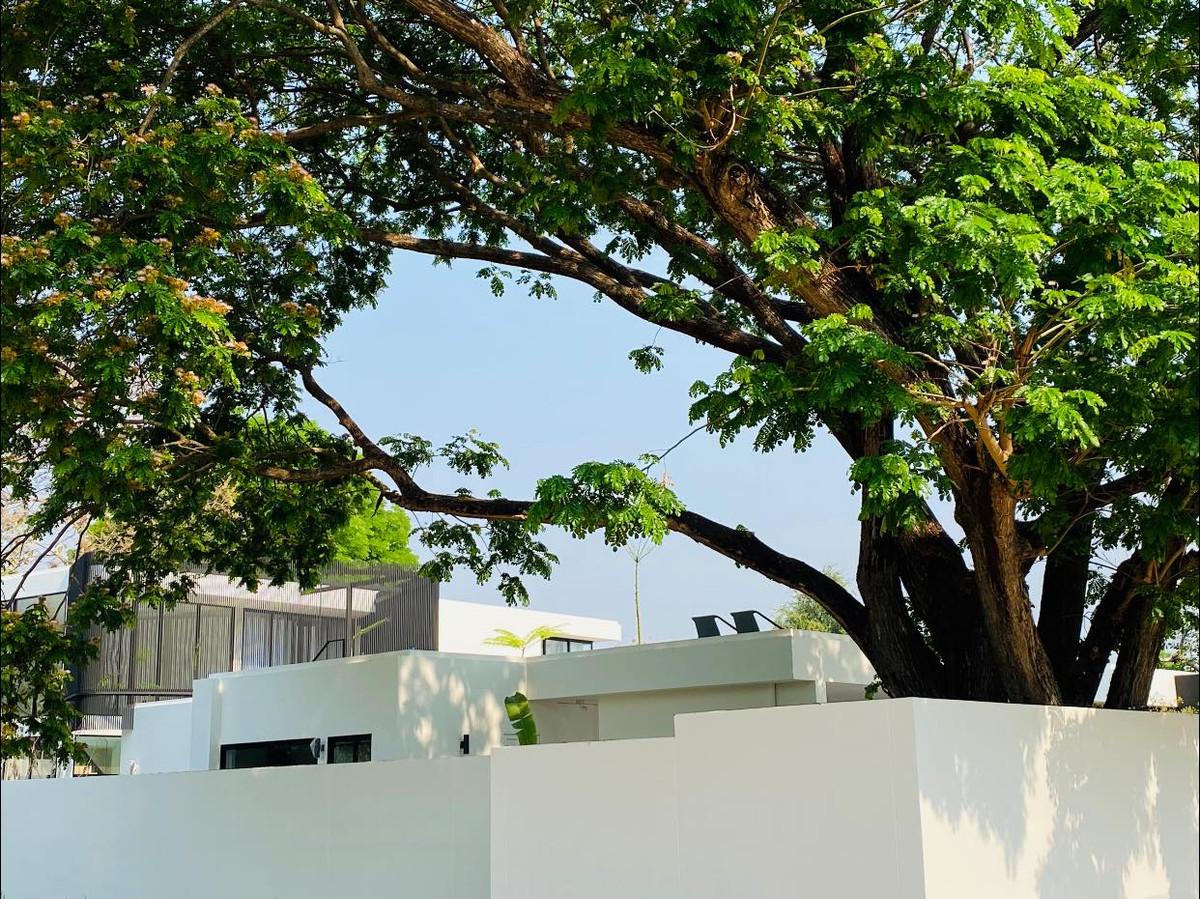 ขายบ้าน modern pool villa ขนาดใหญ่ บ้านสร้างใหม่ วิวดอยสุเทพ ทำเลน้ำแพร่ ใกล้โรงเรียนนานาชาติปัญญาเด่น พร้อมเข้าอยู่SW002308 – รูปที่ 4