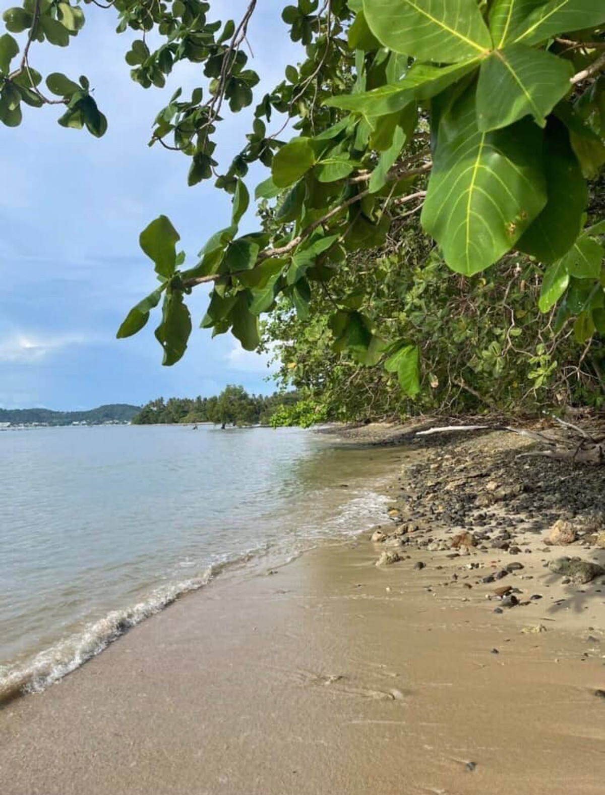 🔹 Announcement of beachfront land for sale, Koh Lon, Phuket Province, selling the whole plot,  selling it himself 🔹 – รูปที่ 4