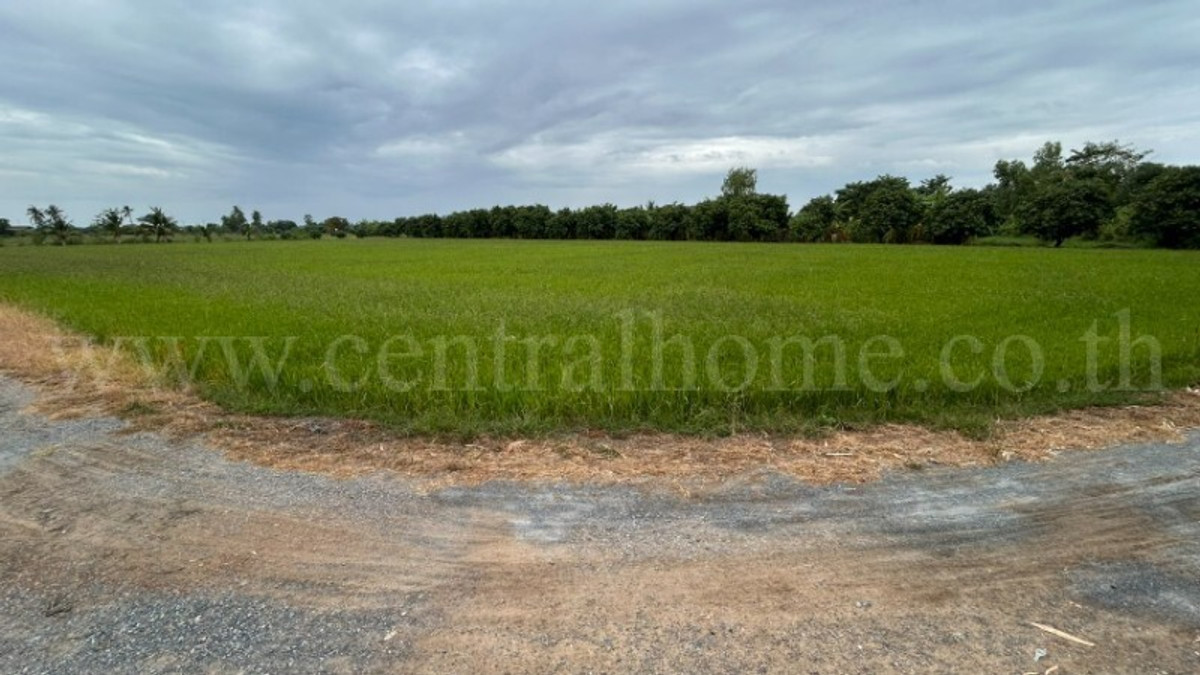 Land 9-3-99.5 rai, Don Pho - Suphanburi, has tenants, good location. – รูปที่ 3