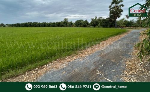 ที่ดิน 9-3-99.5 ไร่ ดอนโพธิ์ - สุพรรณบุรี ทำเลดี