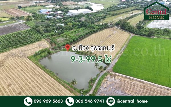 ที่ดิน 9-3-99.5 ไร่ ดอนโพธิ์ - สุพรรณบุรี ทำเลดี