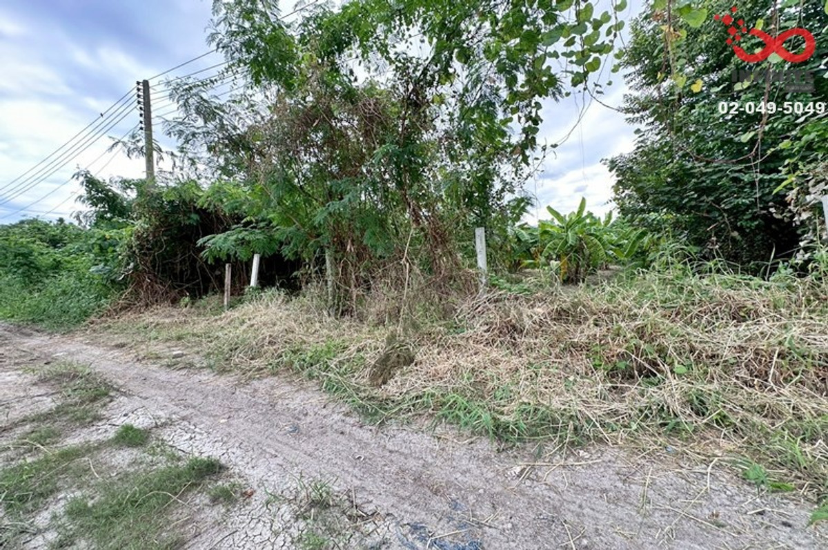 Land for sale 56 sq m Prasertmanukit 21 (Kaset-Nawamin) near the expressway – รูปที่ 2
