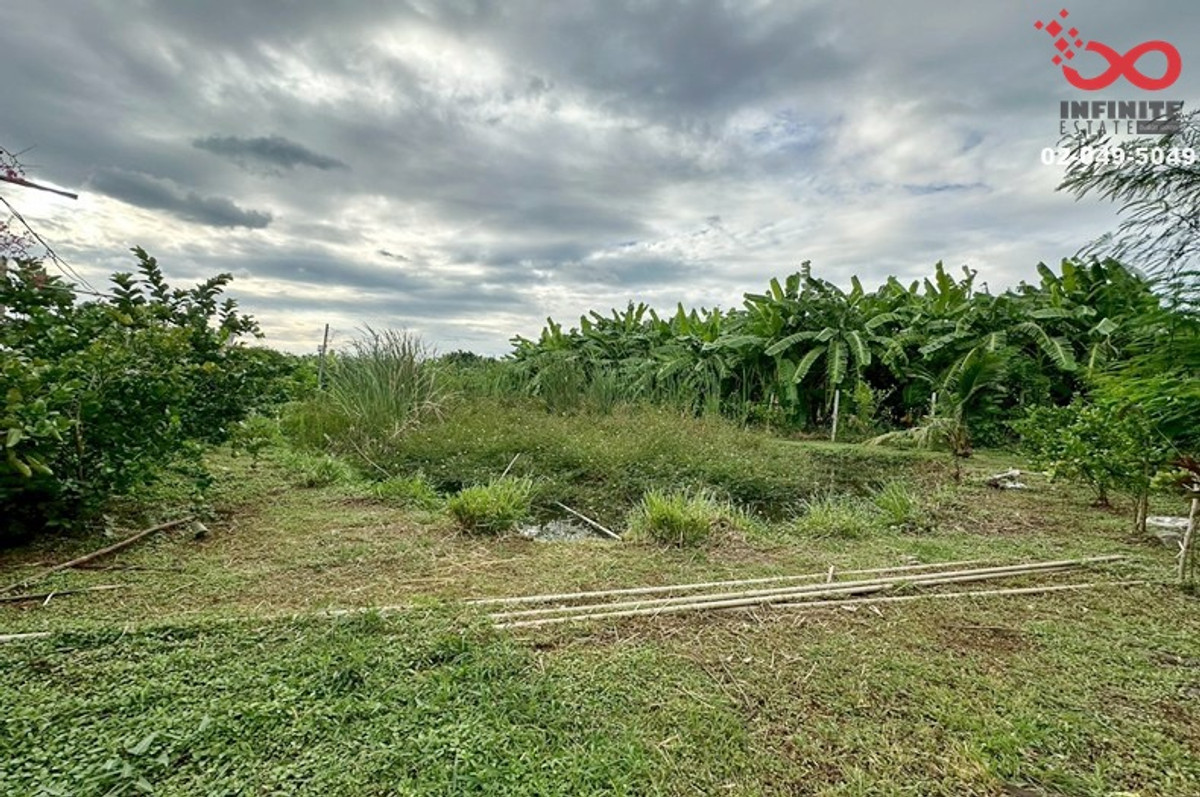 ขายที่ดิน 207ตร.วา ประเสริฐมนูกิจ 21(เกษตร-นวมินทร์) ใกล้ทางด่วน – รูปที่ 4