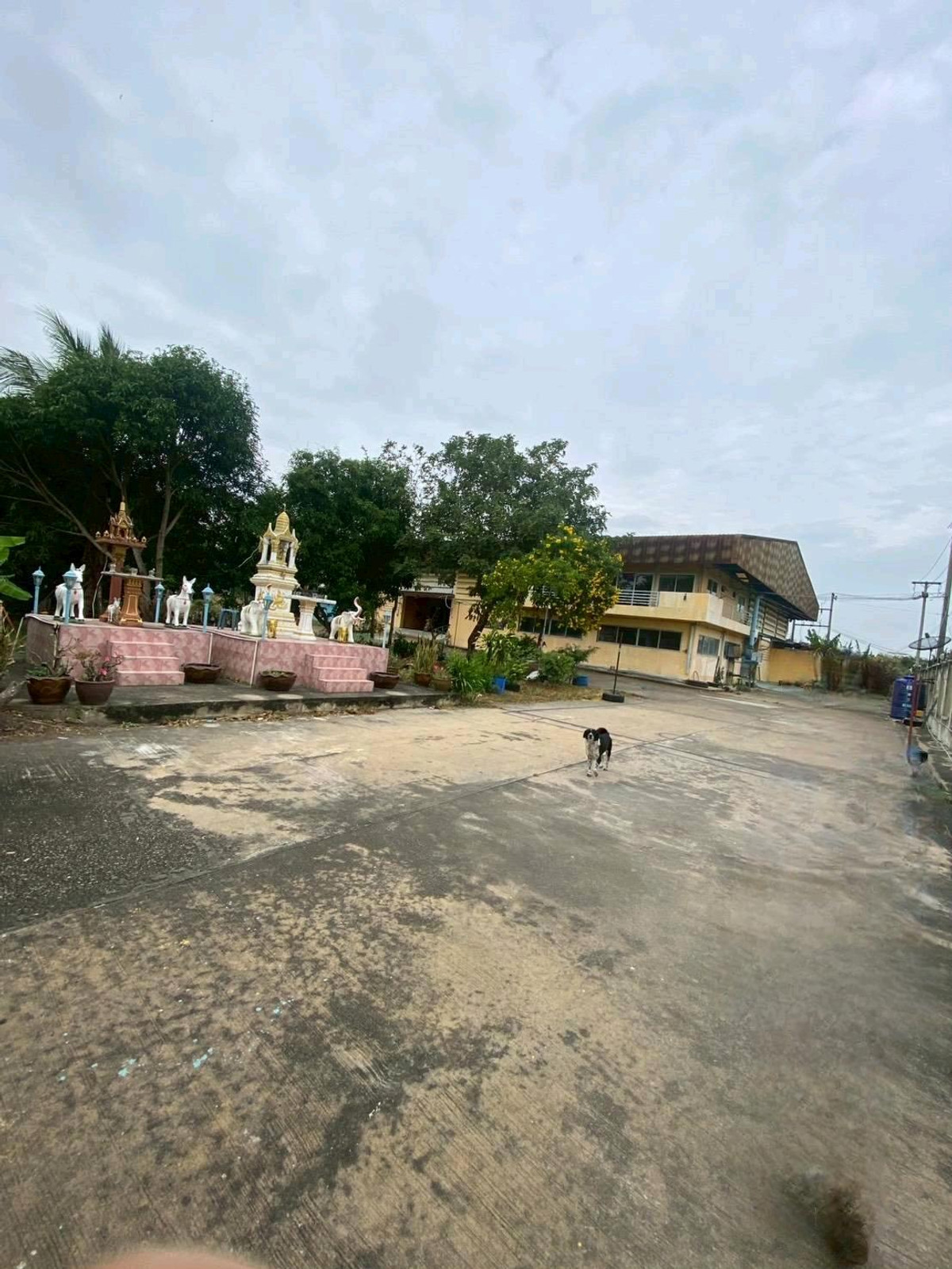 50 million, all expenses paid by the seller Its a purple area. – รูปที่ 3
