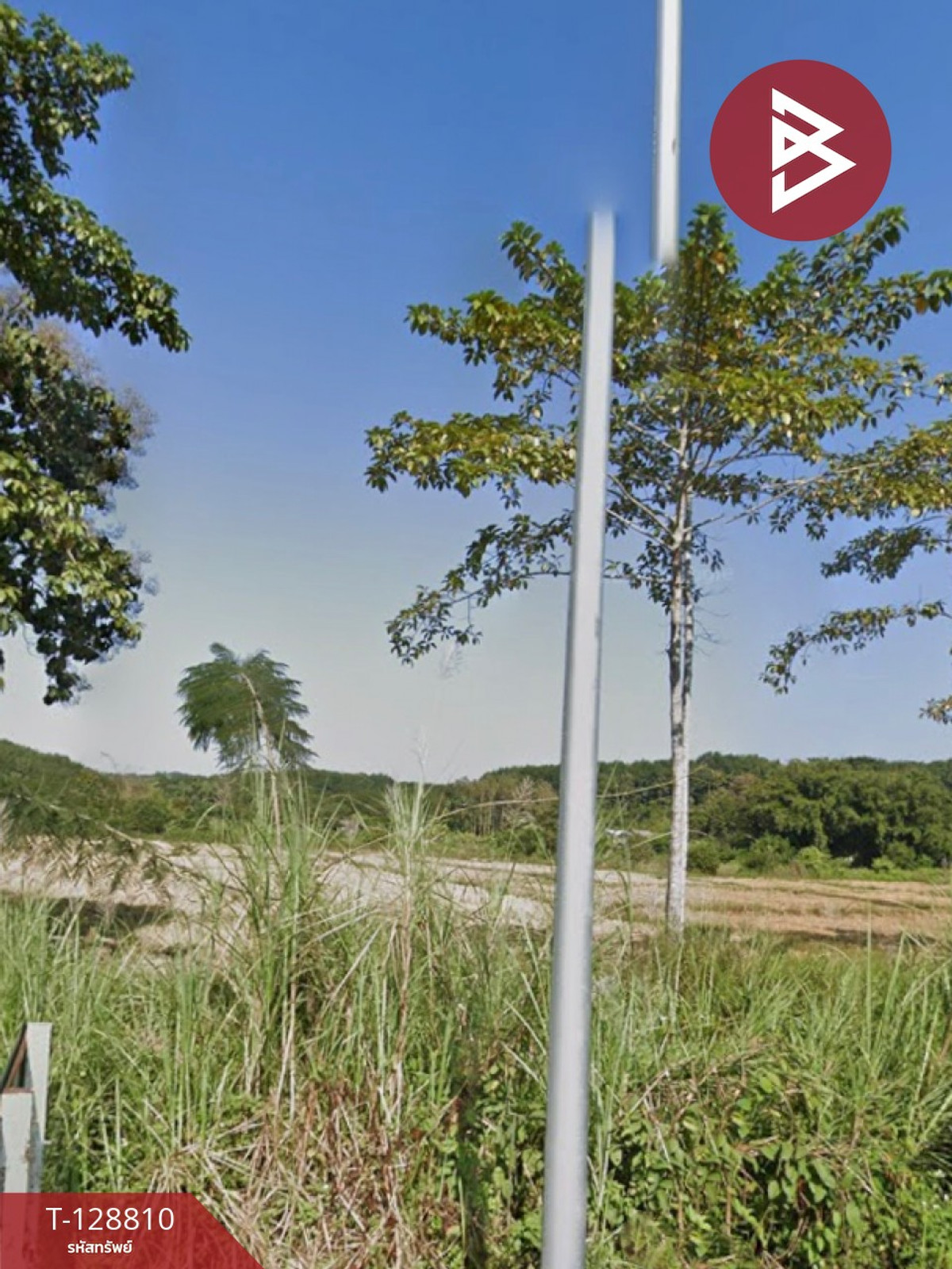 ขายที่ดิน เนื้อที่ 10 ไร่ 2 งาน 80.2 ตร.วา ดอยหลวง เชียงราย – รูปที่ 4