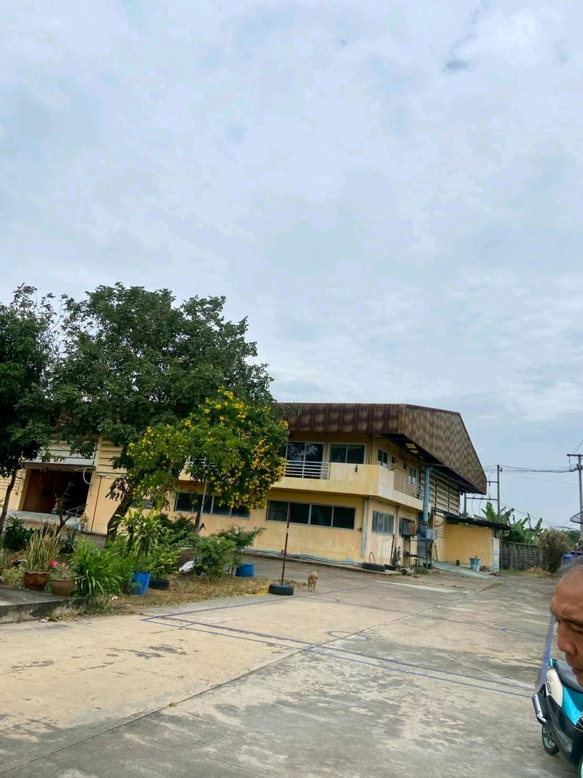 50 million, all expenses paid by the seller Its a purple area. – รูปที่ 2