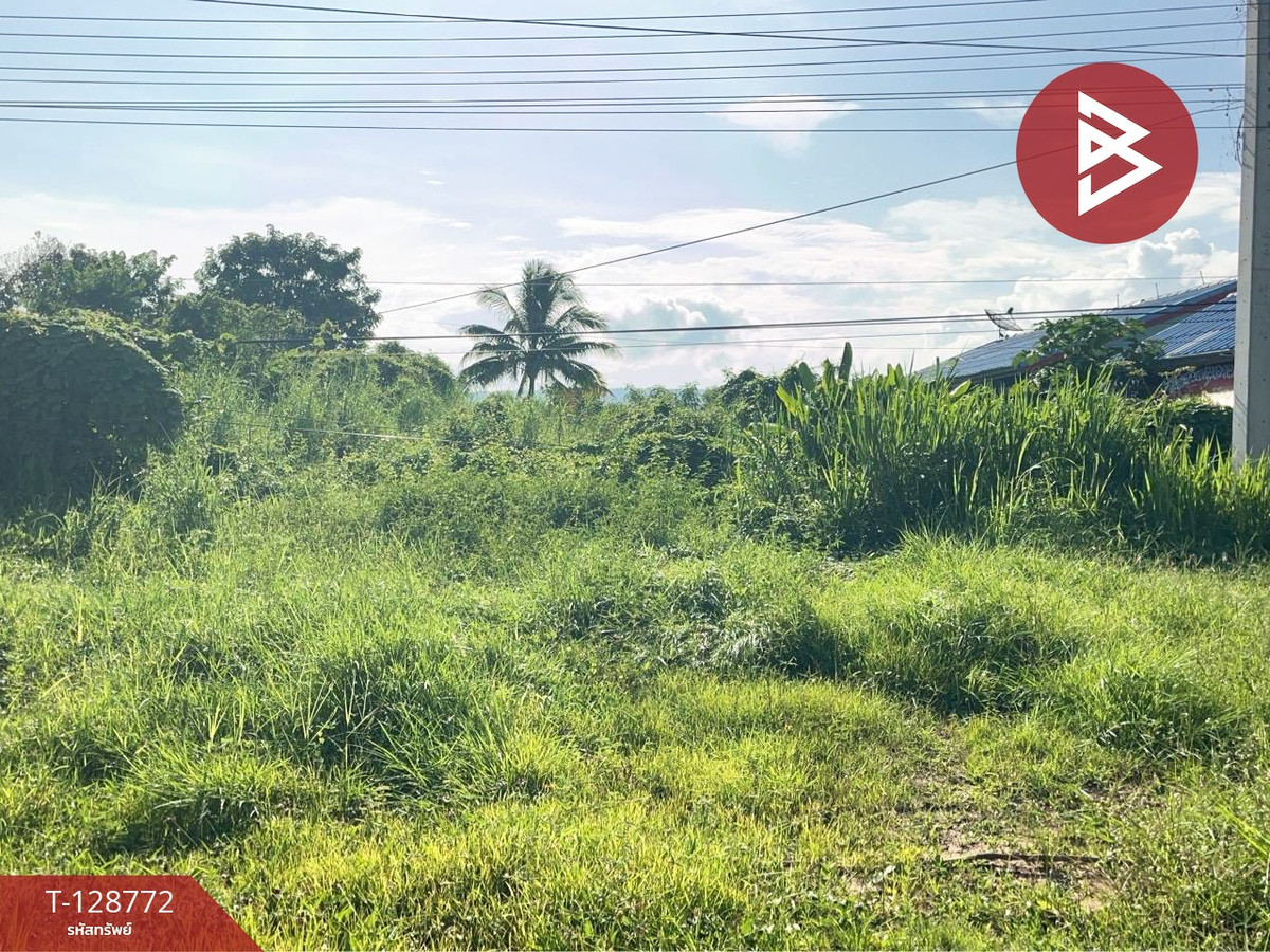 Land for sale, area 3 ngan, Wang Thong, Phitsanulok – รูปที่ 4