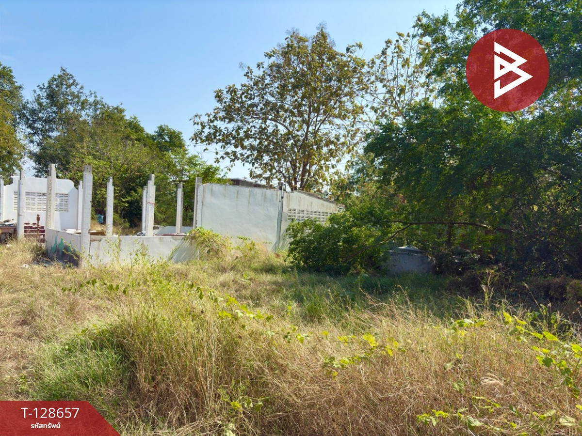 ขายที่ดิน เนื้อที่ 3 งาน 43 ตร.วา ตาคลี นครสวรรค์ – รูปที่ 3