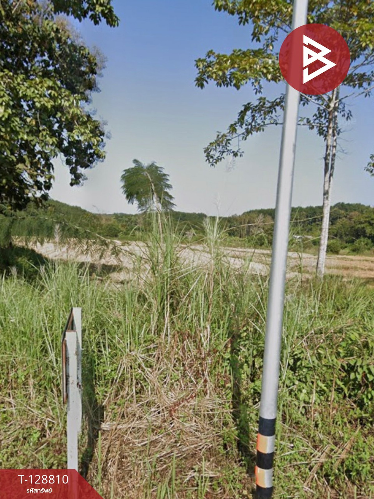 ขายที่ดิน เนื้อที่ 10 ไร่ 2 งาน 80.2 ตร.วา ดอยหลวง เชียงราย – รูปที่ 3