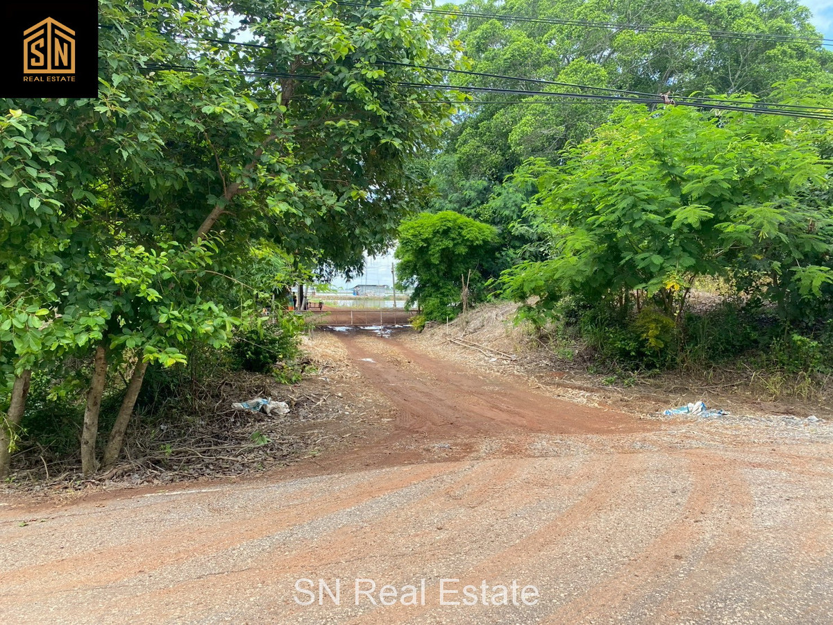 ขายที่ดิน บ่อเลี้ยงปลา อ.บางน้ำเปรี้ยว 117 ไร่   – รูปที่ 4