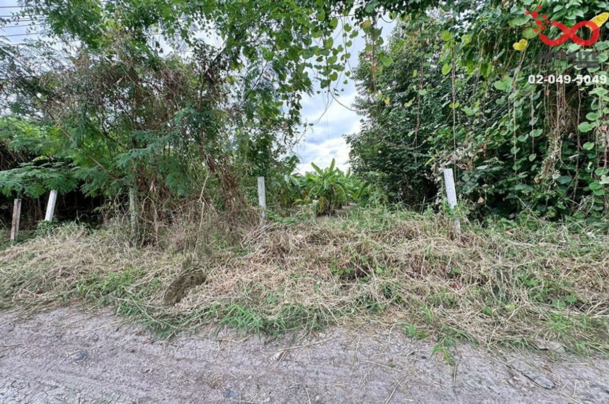 ขายที่ดิน 98ตร.วา ประเสริฐมนูกิจ 21(เกษตร-นวมินทร์) ใกล้ทางด่วน – รูปที่ 3